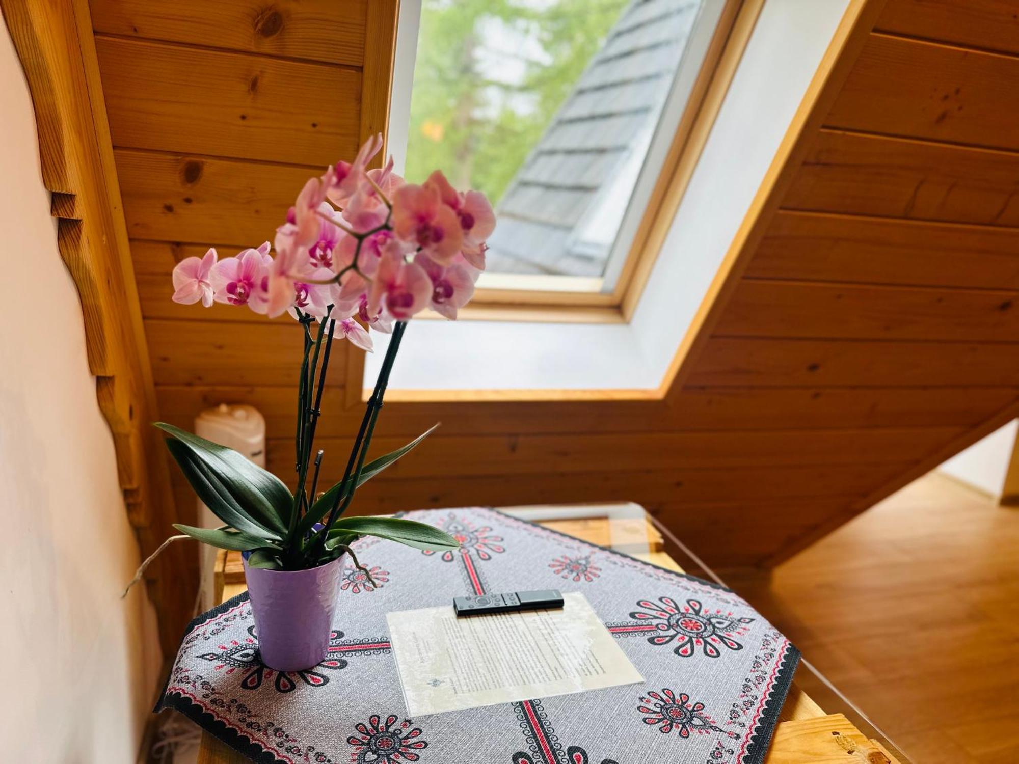 Apartamenty Krokiew Zakopane Exterior foto